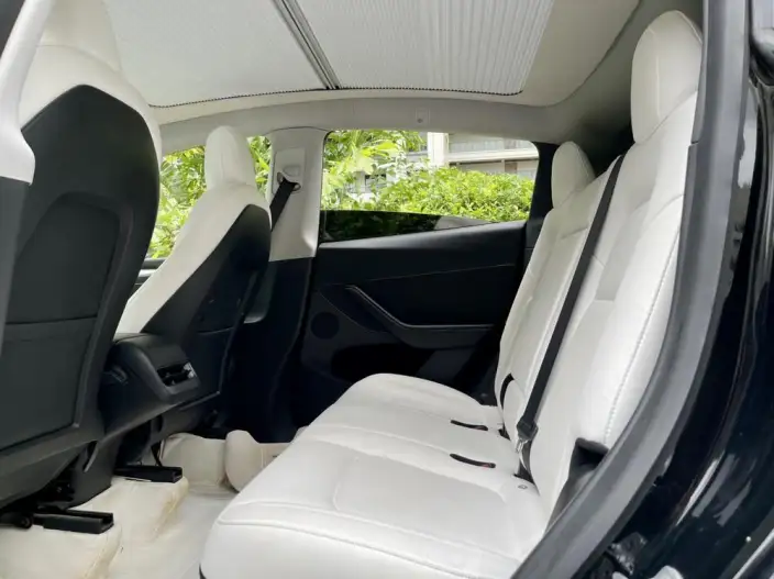 Model Y 2021 Model Standard Battery Life Rear-wheel drive version – фото 9