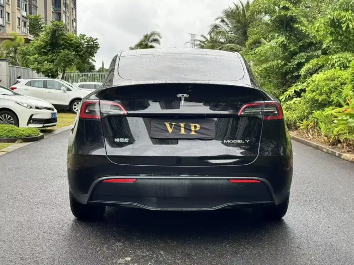 Model Y 2024 Model Rear-wheel drive version – фото 5