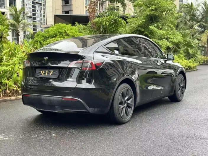 Model Y 2024 Model Rear-wheel drive version – фото 6
