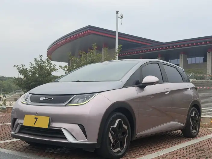BYD Dolphin 2021 Model Fashion Edition