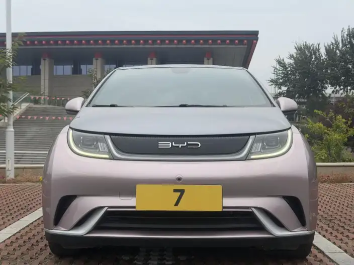 BYD Dolphin 2021 Model Fashion Edition