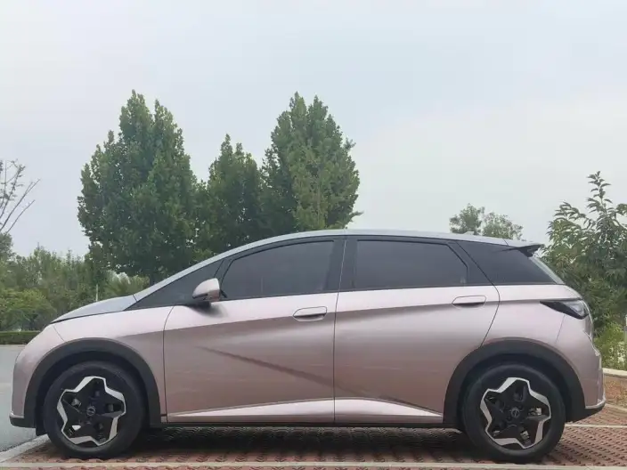 BYD Dolphin 2021 Model Fashion Edition