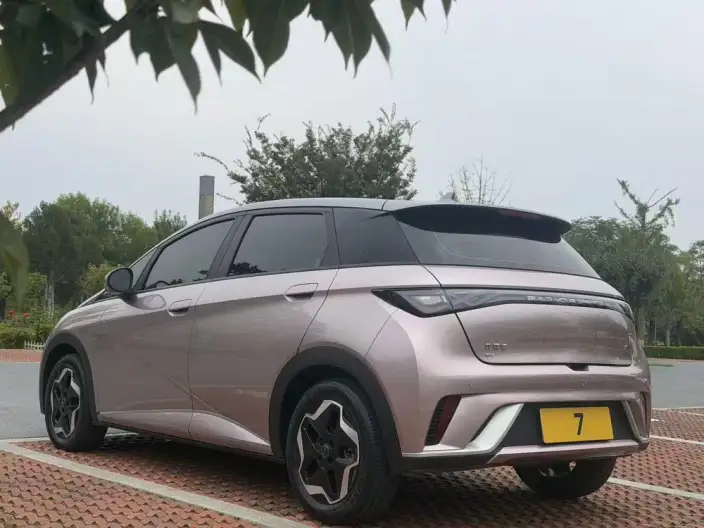 BYD Dolphin 2021 Model Fashion Edition