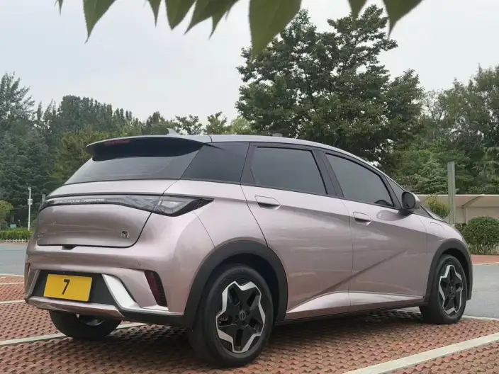 BYD Dolphin 2021 Model Fashion Edition – фото 6