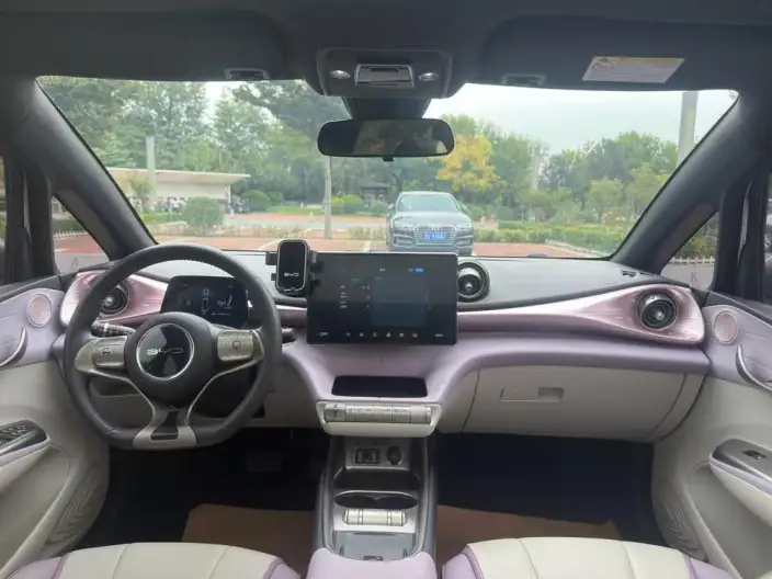 BYD Dolphin 2021 Model Fashion Edition – фото 7