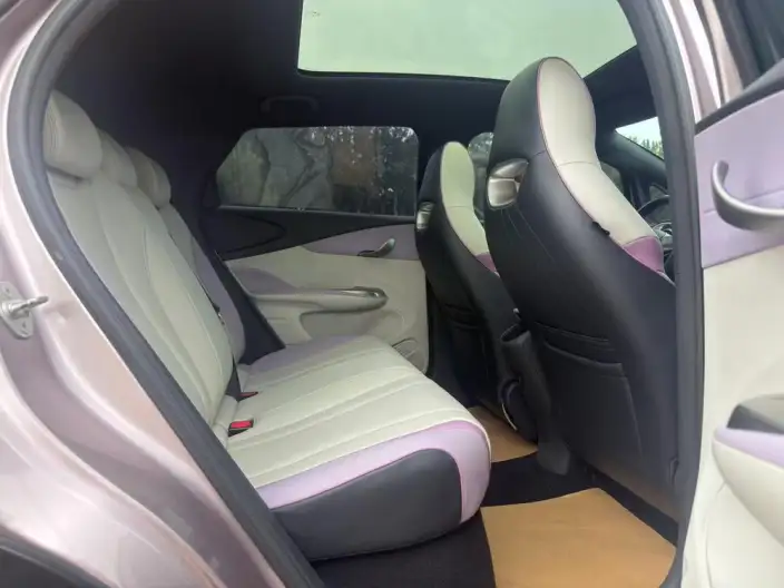BYD Dolphin 2021 Model Fashion Edition – фото 10