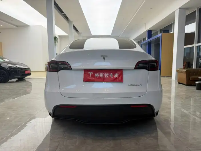 Model Y 2022 Model Facelift Rear-wheel drive version – фото 5