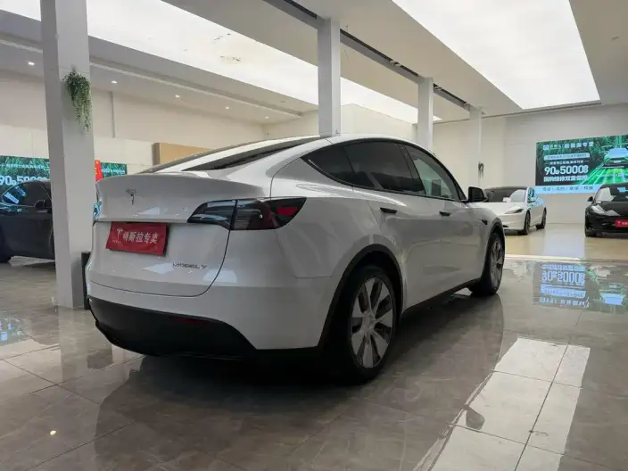 Model Y 2022 Model Facelift Rear-wheel drive version – фото 6