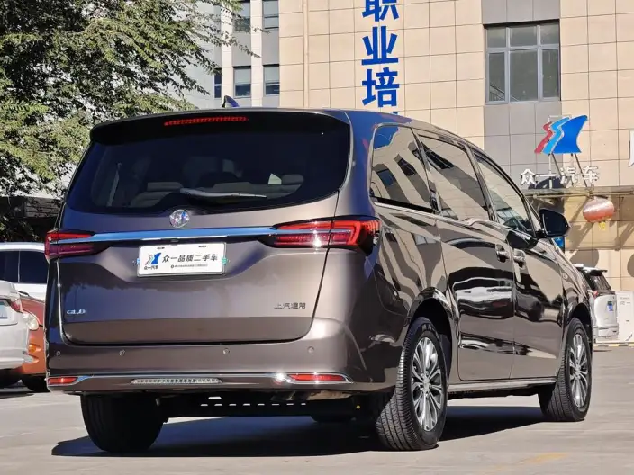 Buick GL8 2023 Model Business class 2.0T Luxury Model – фото 6