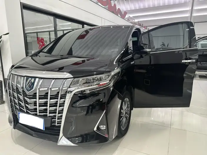 Elfa 2020 Model Hybrid 2.5L Premium Edition – фото 7