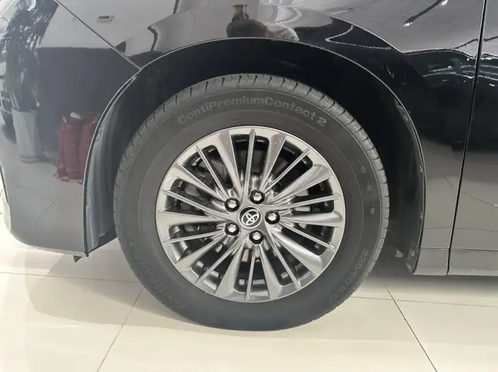 Elfa 2020 Model Hybrid 2.5L Premium Edition – фото 8