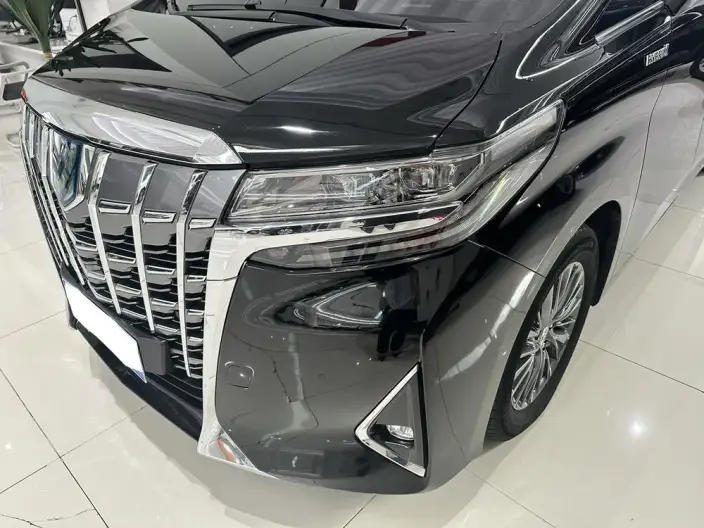 Elfa 2020 Model Hybrid 2.5L Premium Edition – фото 9