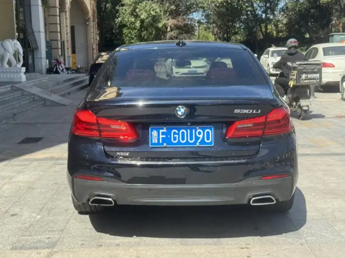 BMW 5 Series 2020 Model 530Li xDrive M Sports Set – фото 5