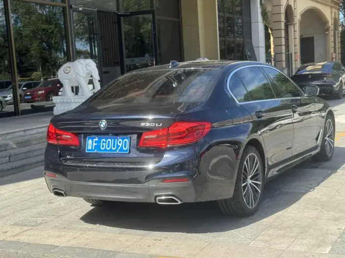 BMW 5 Series 2020 Model 530Li xDrive M Sports Set – фото 6