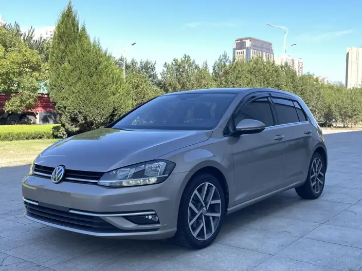 Volkswagen Golf 2020 Model Zhiai Edition 280TSI DSG Comfort Model