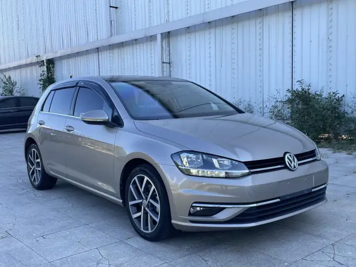 Volkswagen Golf 2020 Model Zhiai Edition 280TSI DSG Comfort Model