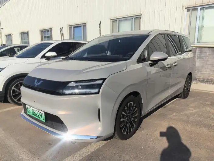 Xingguang 730 EV 2025 Model 500km Luxury Model