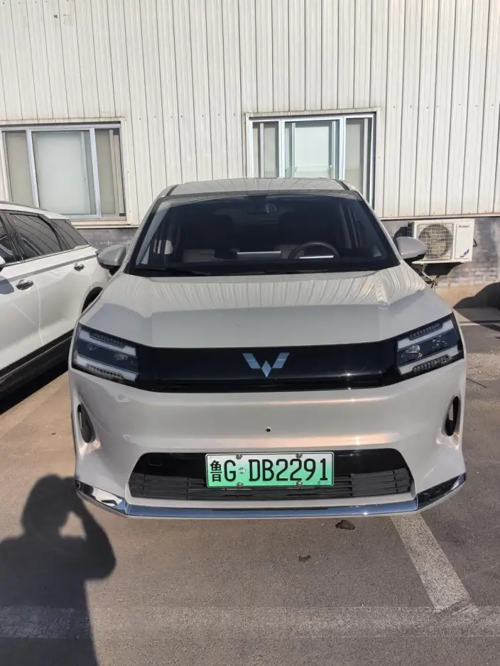 Xingguang 730 EV 2025 Model 500km Luxury Model