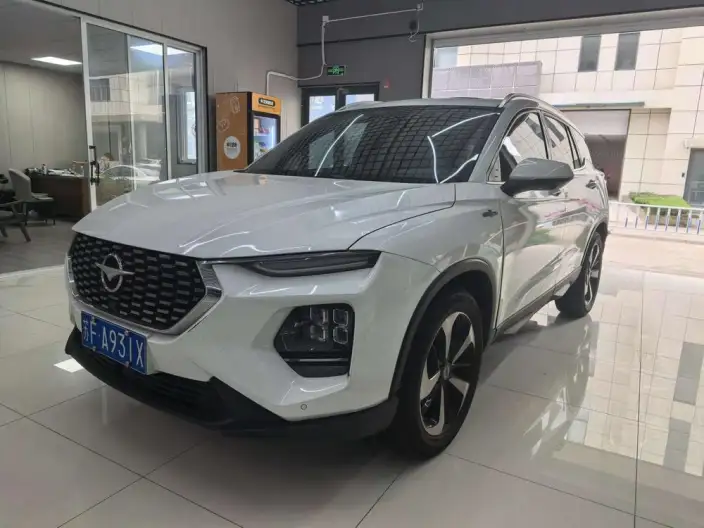 Haima 8S 2020 Model 1.6TGDI Automatic Flagship Model