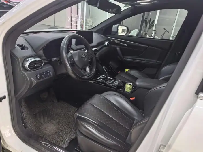 Haima 8S 2020 Model 1.6TGDI Automatic Flagship Model – фото 6