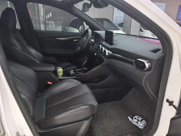 Haima 8S 2020 Model 1.6TGDI Automatic Flagship Model – фото 9