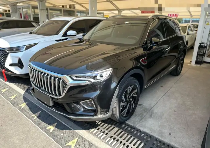 Hongqi HS5 2022 Model 2.0T Smart Flag Enjoy Edition