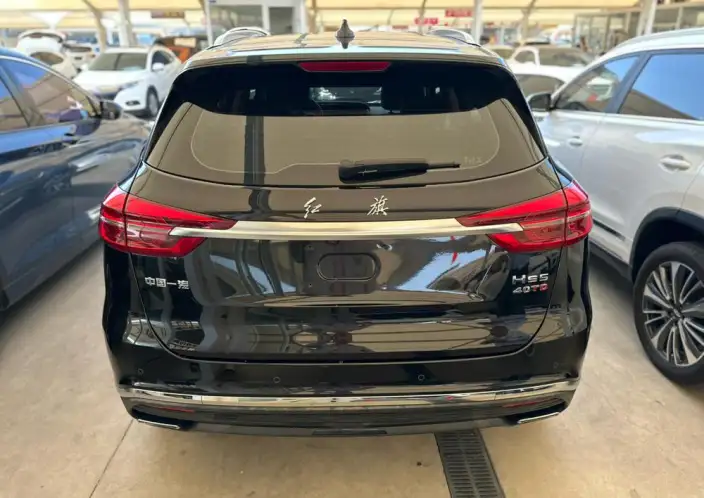 Hongqi HS5 2022 Model 2.0T Smart Flag Enjoy Edition