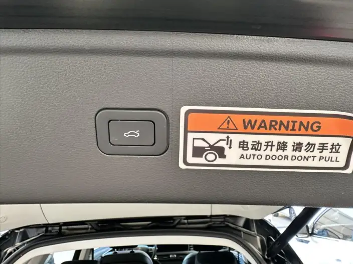 Hongqi HS5 2022 Model 2.0T Smart Flag Enjoy Edition – фото 6