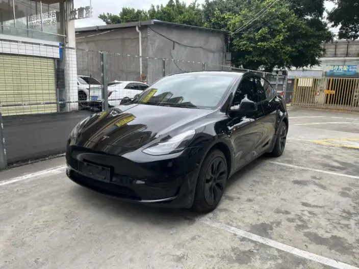 Model Y 2023 Model Rear-wheel drive version – фото 1