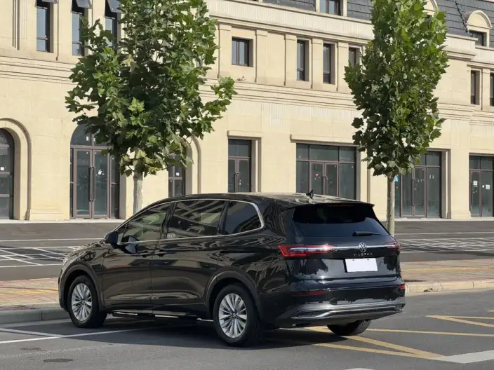 Viloran 2020 Model 330TSI Business Edition – фото 5