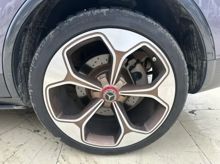Denza X PHEV 2020 Model 2.0T Ultimate Edition – фото 8