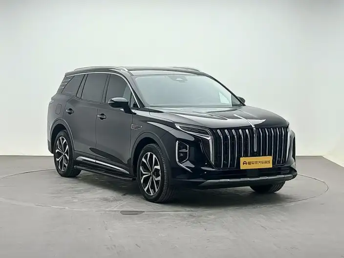 Hongqi HS7 2023 Model 2.0T 4WD Flag Enjoy Edition 6 seat