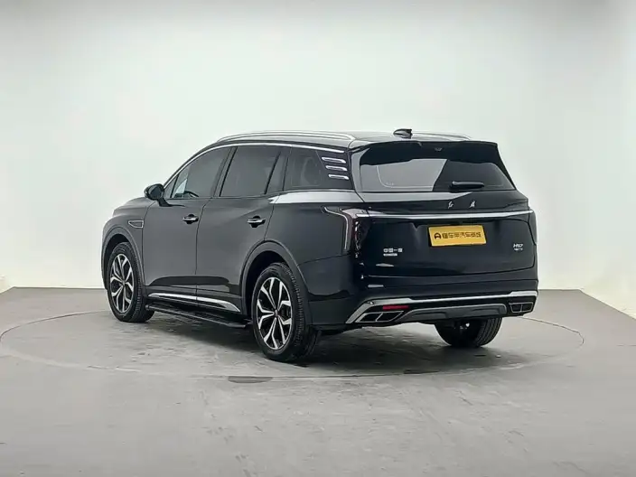 Hongqi HS7 2023 Model 2.0T 4WD Flag Enjoy Edition 6 seat – фото 5