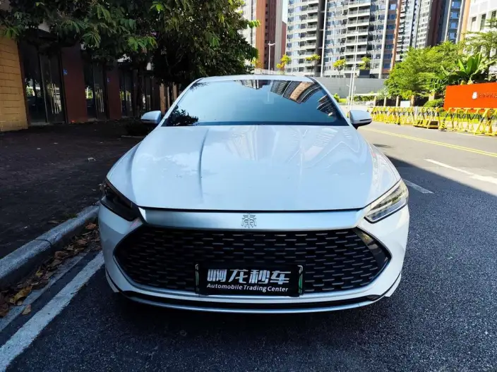 BYD Qin PLUS DM 2021 Model DM-i 55KM Flagship Model – фото 2
