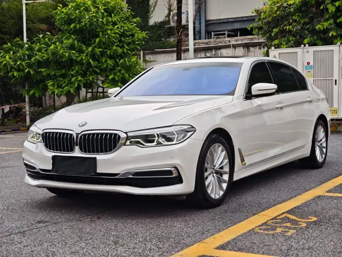 BMW 5 Series 2020 Model 530Li Leading Model Luxury Set – фото 1