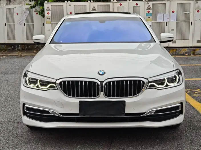 BMW 5 Series 2020 Model 530Li Leading Model Luxury Set – фото 2