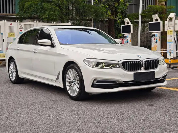 BMW 5 Series 2020 Model 530Li Leading Model Luxury Set – фото 3