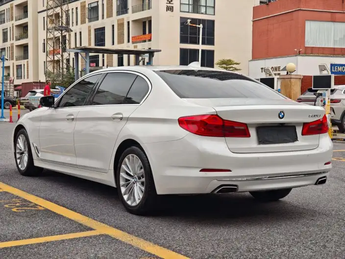 BMW 5 Series 2020 Model 530Li Leading Model Luxury Set – фото 5