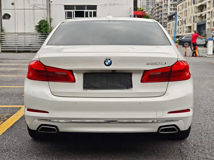 BMW 5 Series 2020 Model 530Li Leading Model Luxury Set – фото 6