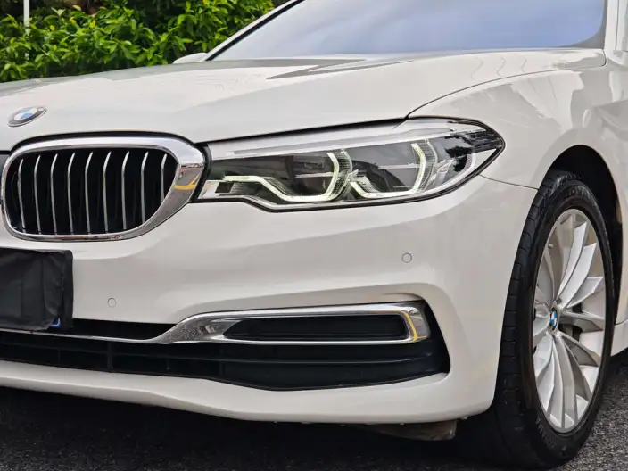 BMW 5 Series 2020 Model 530Li Leading Model Luxury Set – фото 10