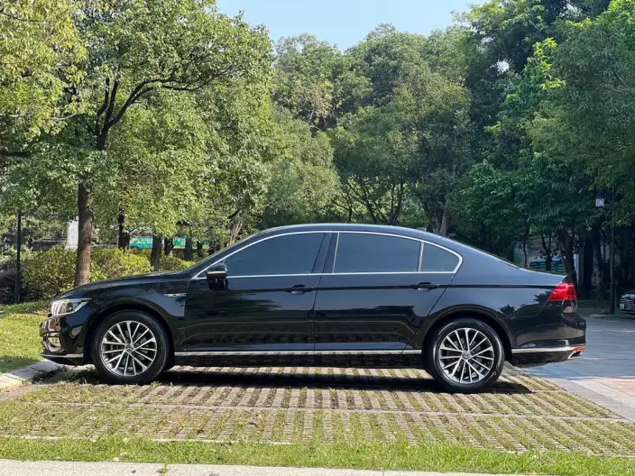 Volkswagen Magotan 2020 Model 330TSI DSG Luxury Model – фото 4