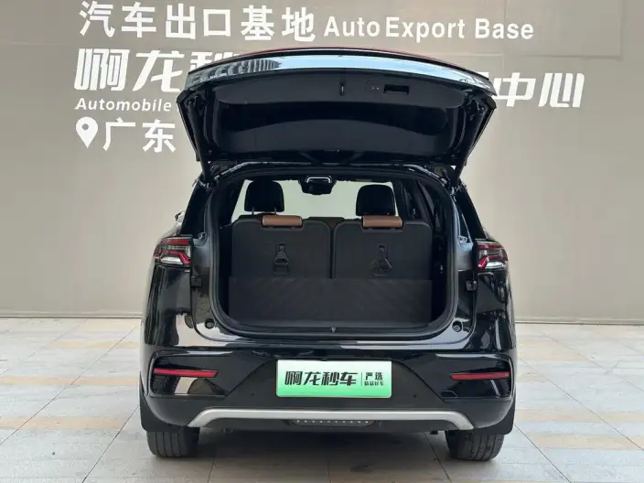 BYD Tang DM 2021 Model DM-i 1.5T 112KM Zunrong Model – фото 8