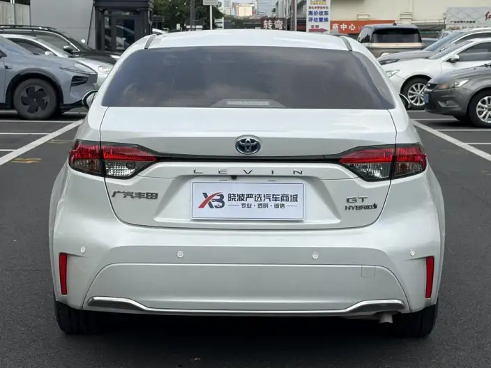 Lingshang 2023 Model Hybrid 2.0L Leading version – фото 5