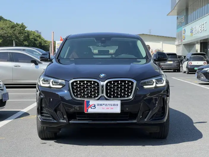 BMW X4 2022 Model xDrive 30i M Sports Night Set – фото 2