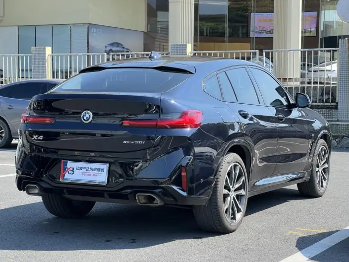 BMW X4 2022 Model xDrive 30i M Sports Night Set – фото 7