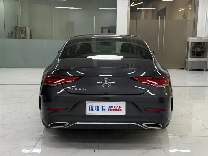 Mercedes-Benz CLS 2021 Model CLS 300 Dynamic Model – фото 5