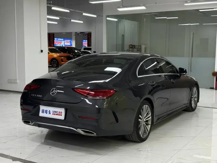 Mercedes-Benz CLS 2021 Model CLS 300 Dynamic Model – фото 6