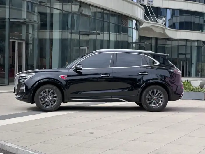 Hongqi HS5 2023 Model 2.0T Flag Xiang Pro Edition