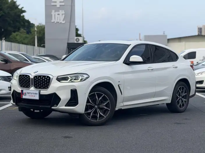 BMW X4 2022 Model xDrive 30i M Sports Set – фото 1