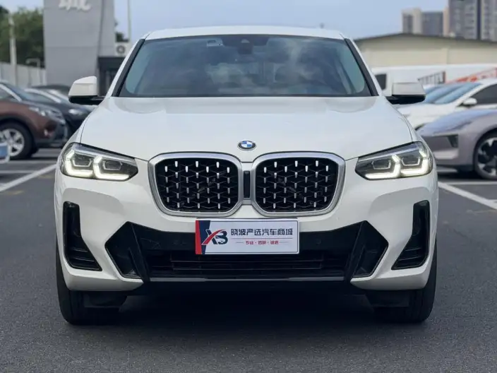 BMW X4 2022 Model xDrive 30i M Sports Set – фото 2